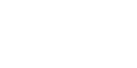 PingS