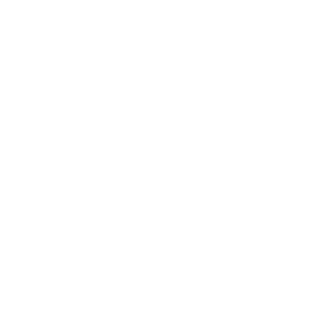 granda_bianco GSD foundation case history brandsider